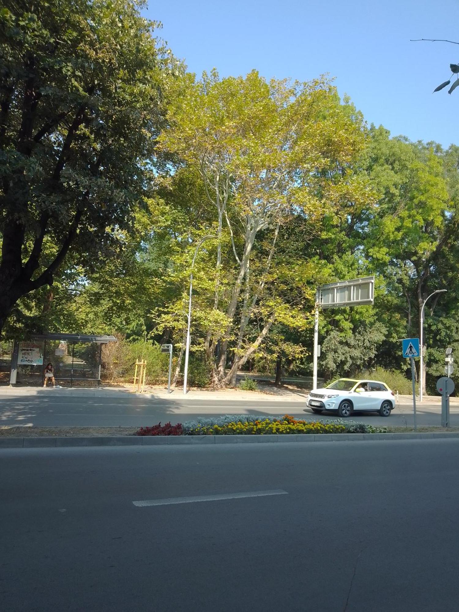 Стеди - Стаи За Гости Varna Exterior photo